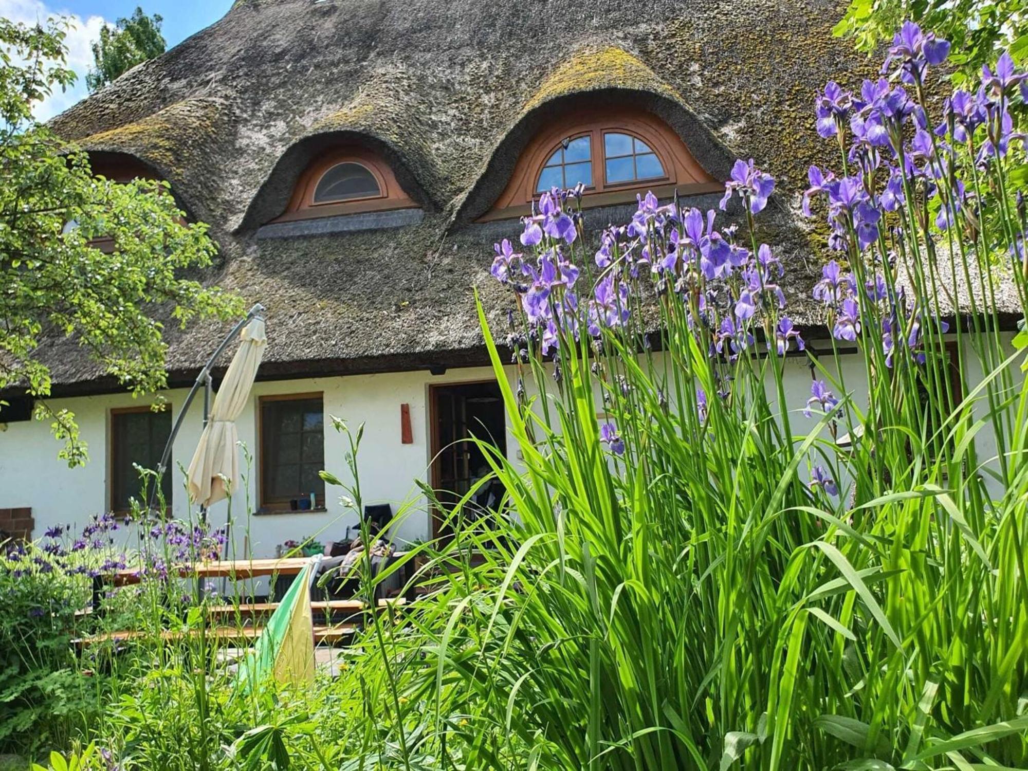 Renovated Apartment In The Old Farmhouse Krusenhagen Экстерьер фото
