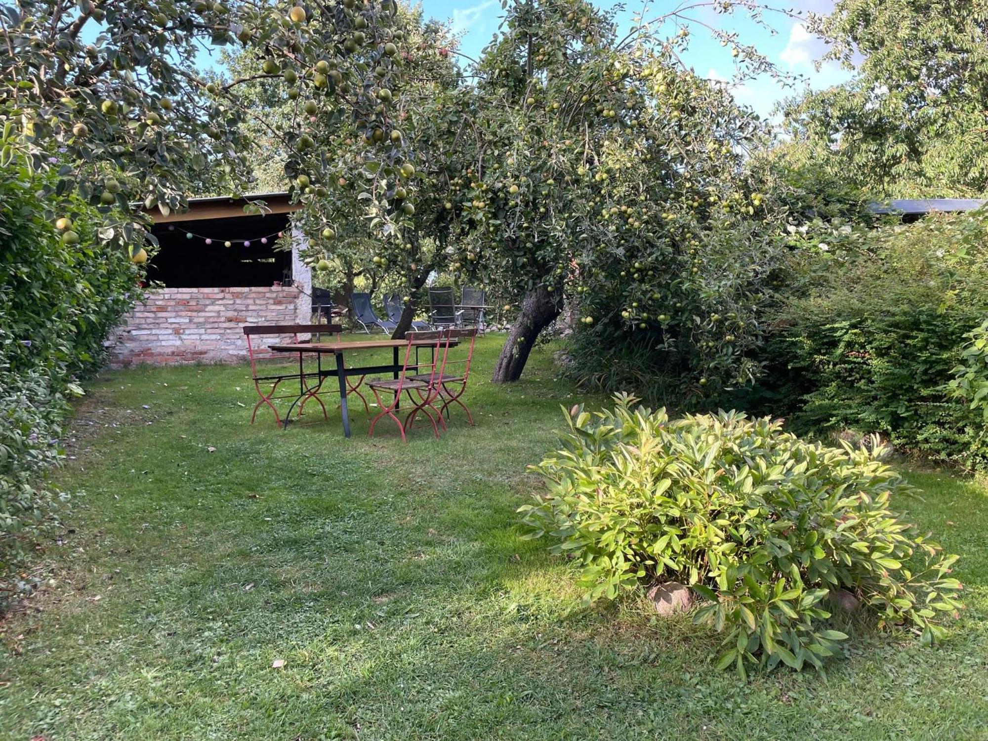 Renovated Apartment In The Old Farmhouse Krusenhagen Экстерьер фото
